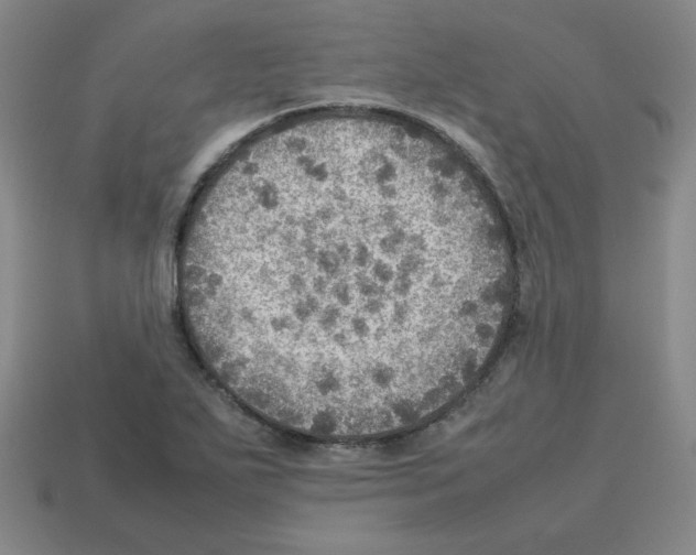 X0000112771271200910011229