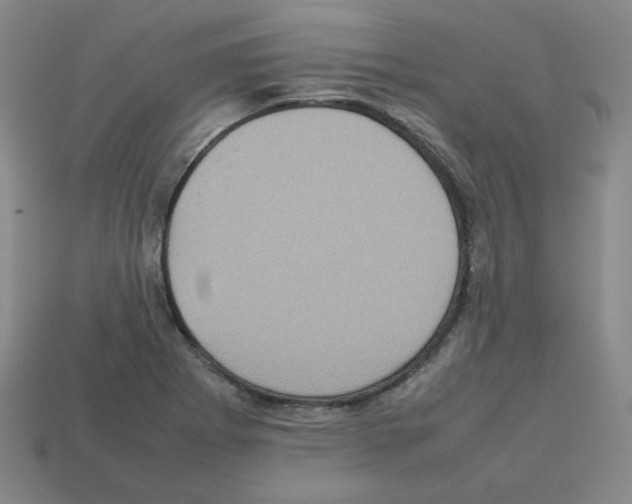 X0000112771273200910011229