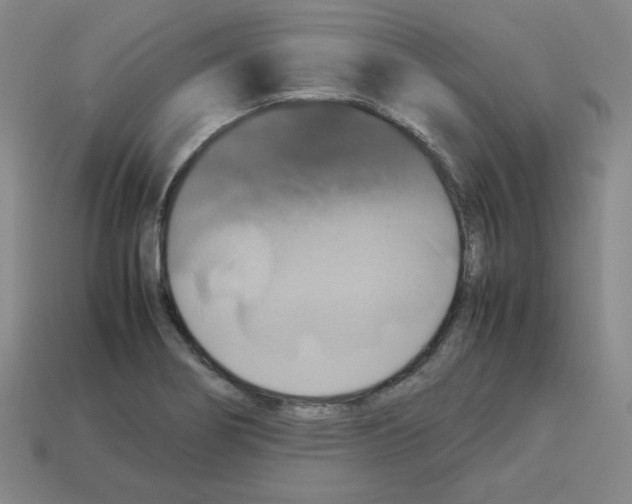 X0000112771274200910011229