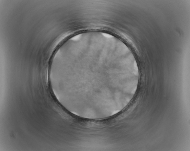 X0000112771275200910011229