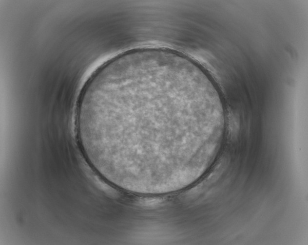 X0000112771278200910011229