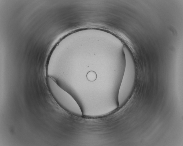 X0000112771280200910011229