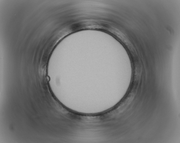 X0000112771281200910011229