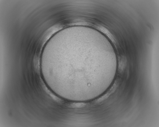 X0000112771282200910011229