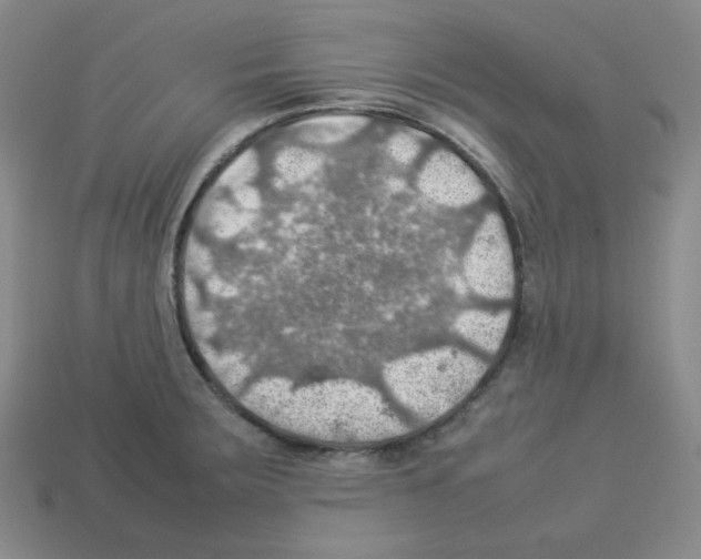 X0000112771283200910011228