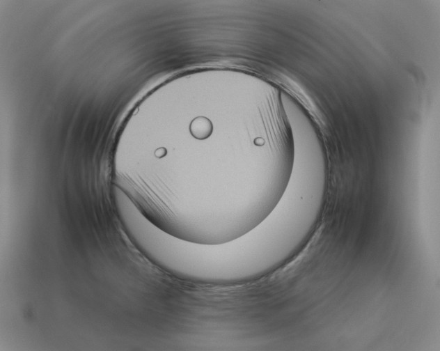 X0000112771284200910011228