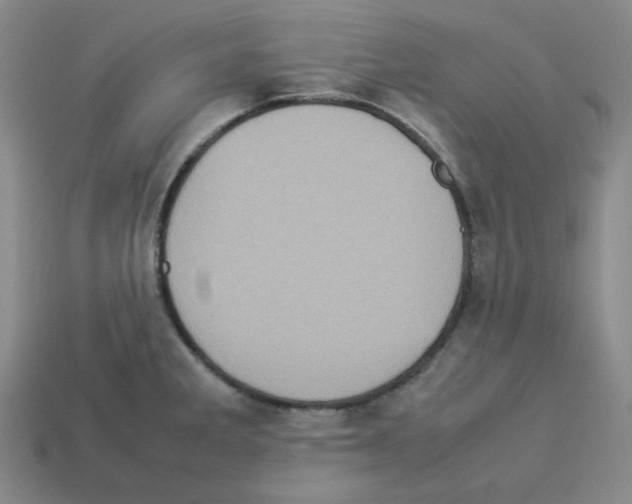 X0000112771285200910011228