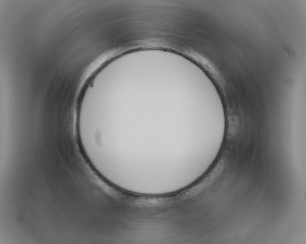 X0000112771286200910011228