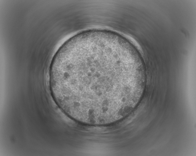 X0000112771287200910011228