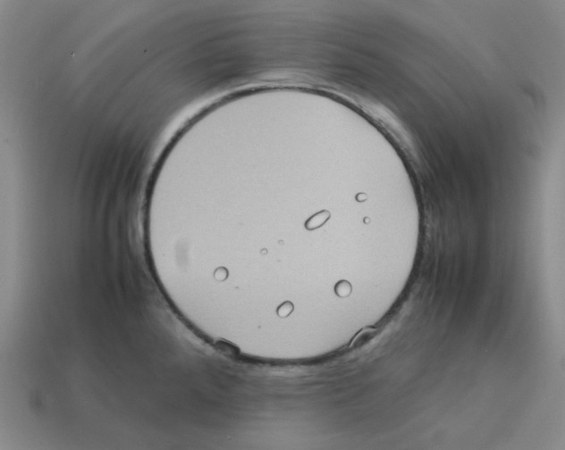 X0000112771288200910011228