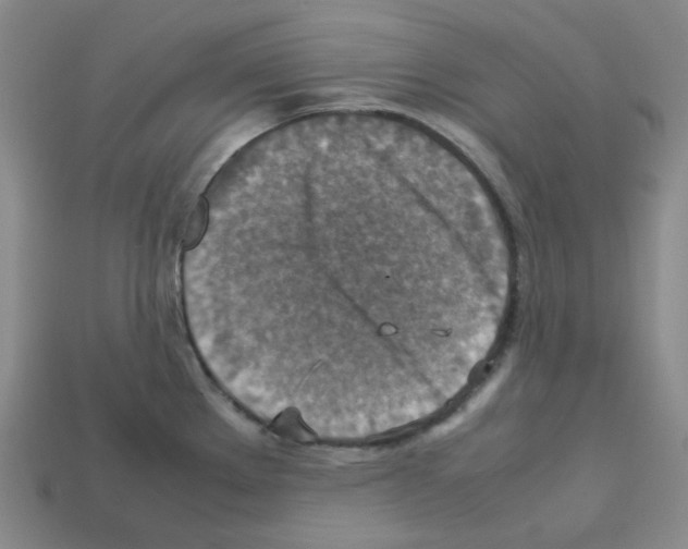 X0000112771289200910011228