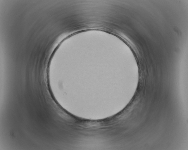 X0000112771291200910011228