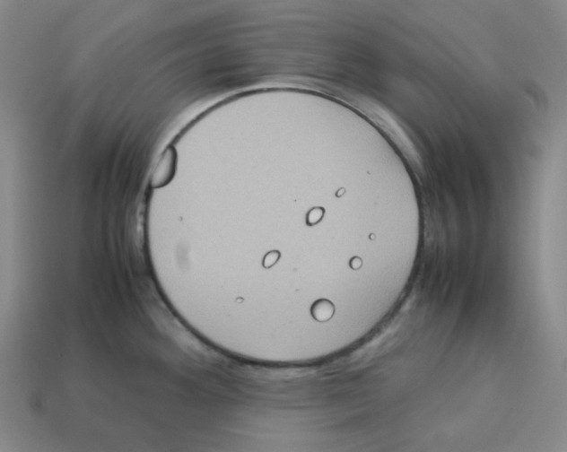 X0000112771292200910011228