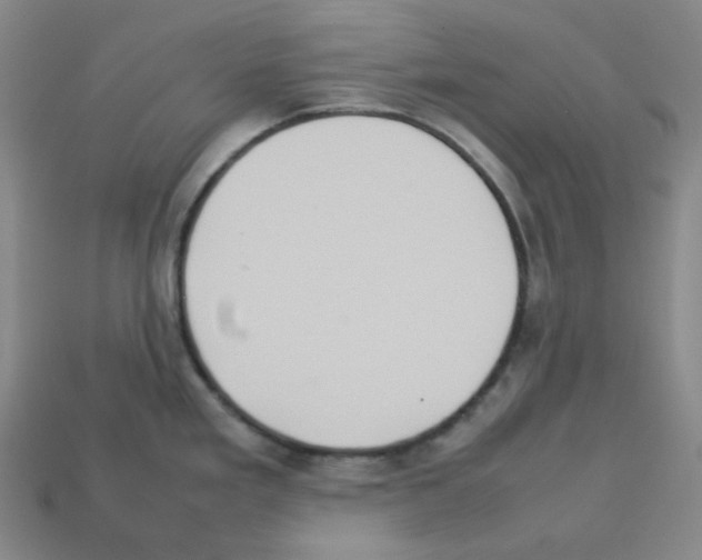 X0000112771293200910011228