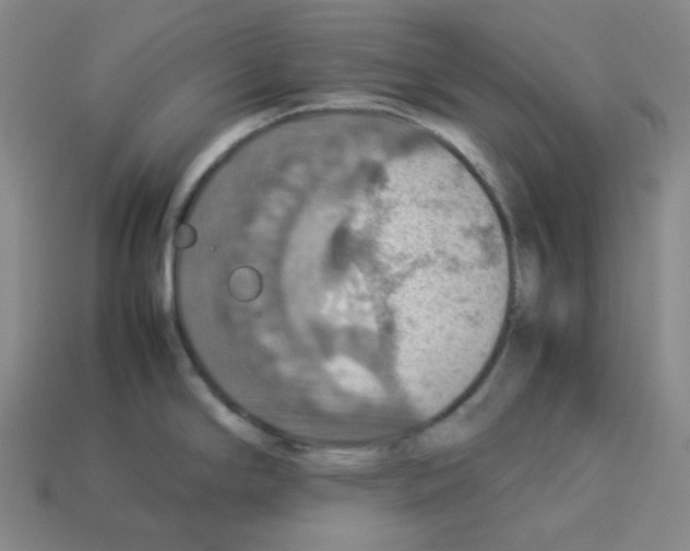 X0000112771294200910011228