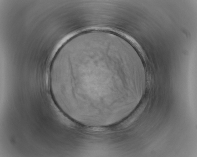 X0000112771295200910011228