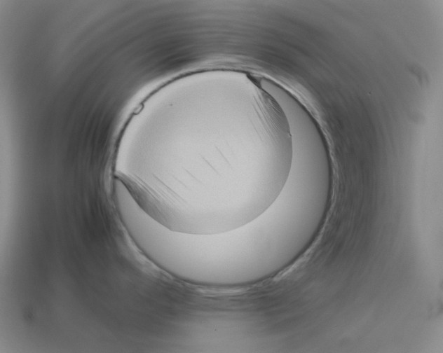 X0000112771296200910011228