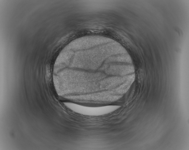 X0000112771298200910011228