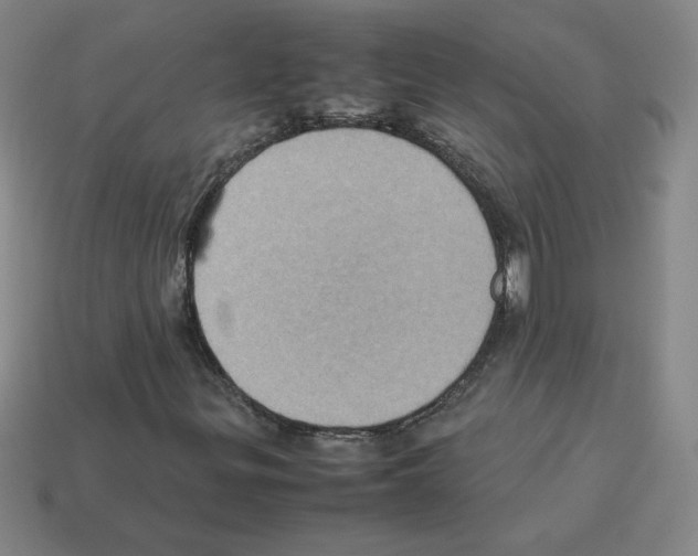 X0000112771299200910011228