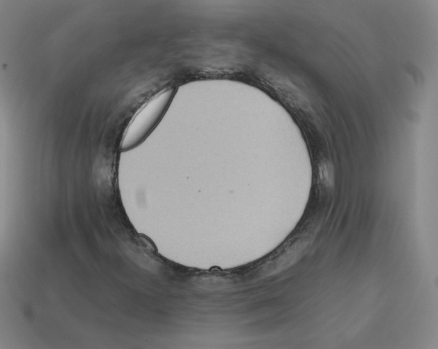 X0000112771300200910011228