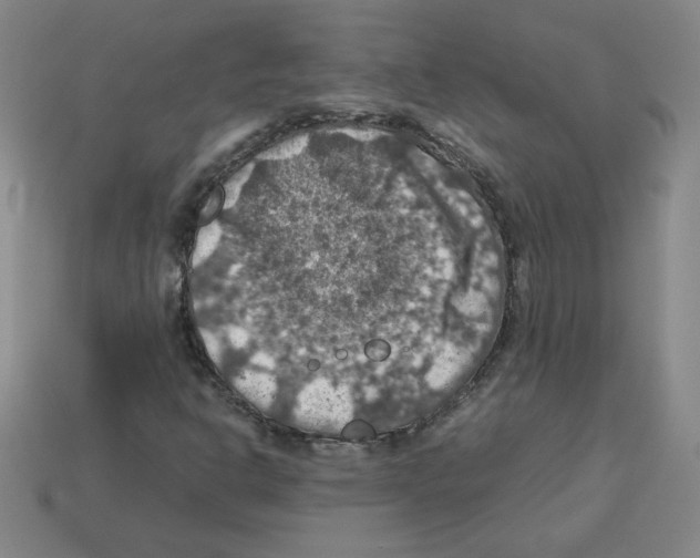 X0000112771302200910011228