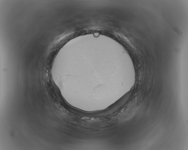 X0000112771303200910011228