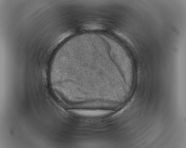 X0000112771305200910011228