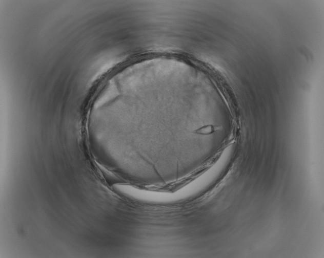 X0000112771306200910011228