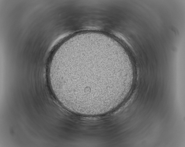 X0000112771307200910011228