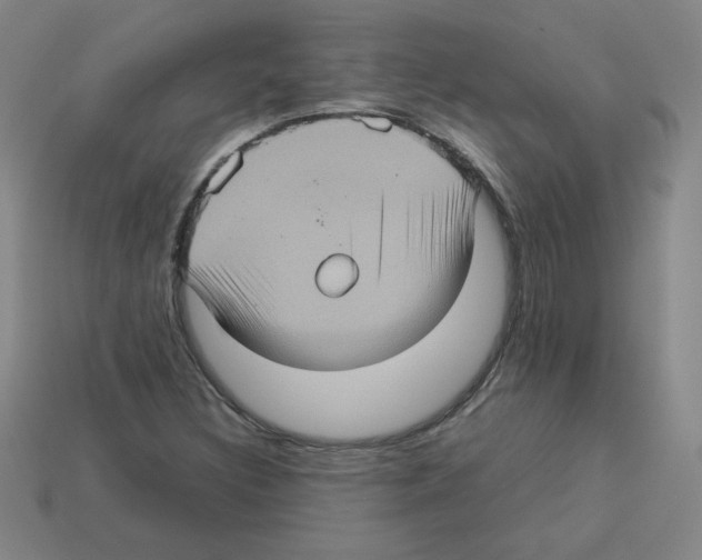 X0000112771308200910011228