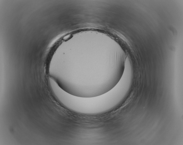 X0000112771310200910011228