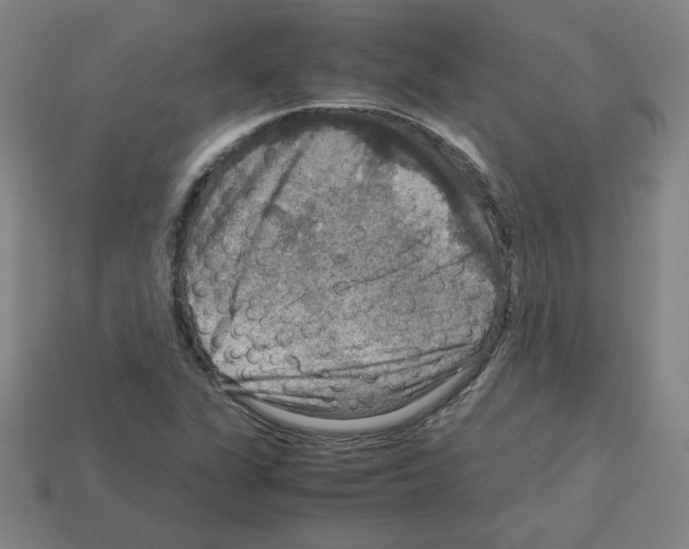 X0000112771311200910011228