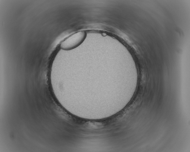 X0000112771312200910011228