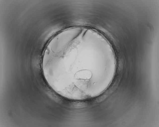 X0000112771314200910011228