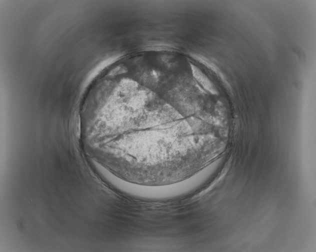 X0000112771317200910011228