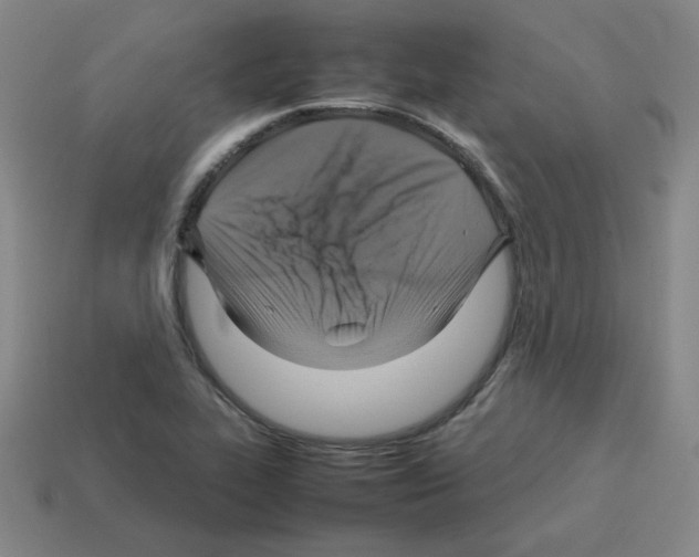 X0000112771319200910011228