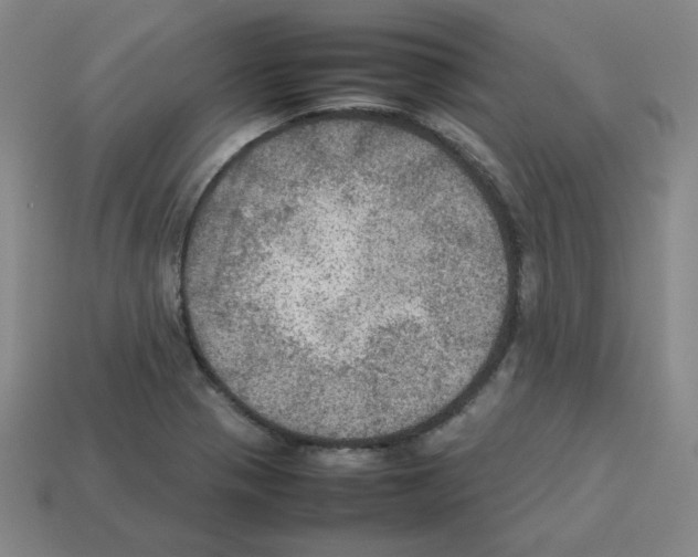 X0000112771321200910011228