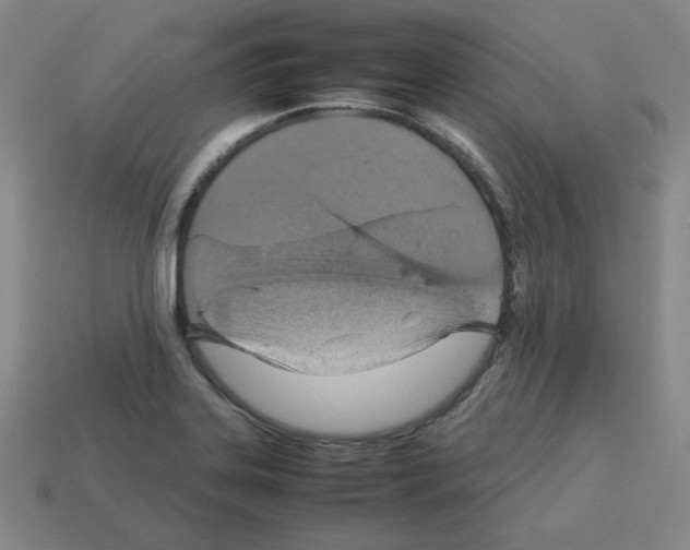 X0000112771323200910011228