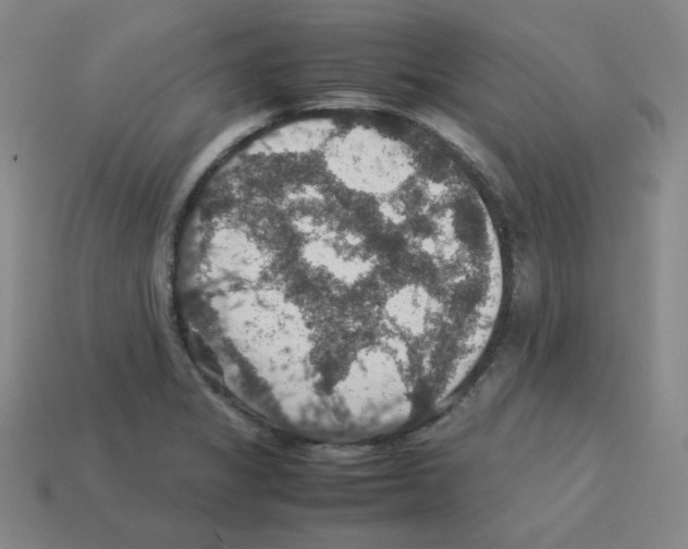 X0000112771325200910011228