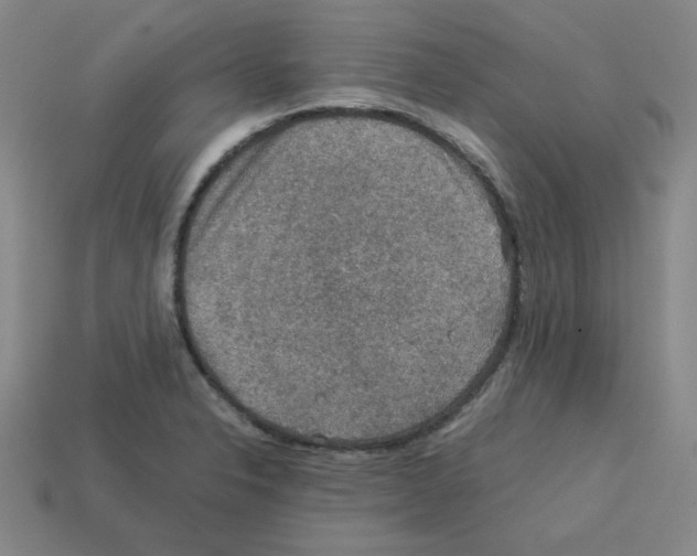 X0000112771326200910011228