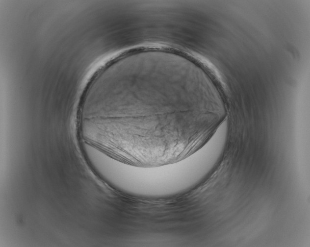 X0000112771327200910011228