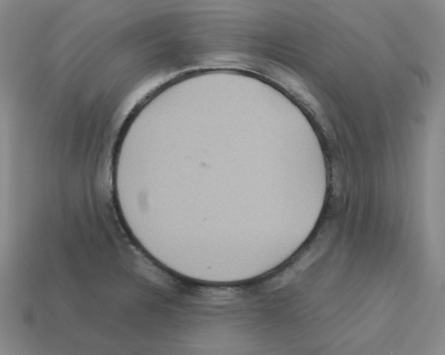 X0000112771328200910011228