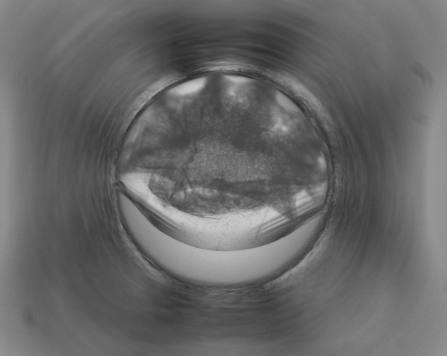 X0000112771329200910011228