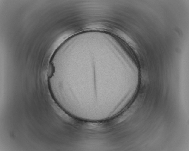 X0000112771330200910011228