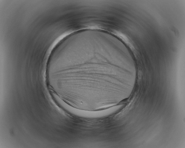 X0000112771331200910011228