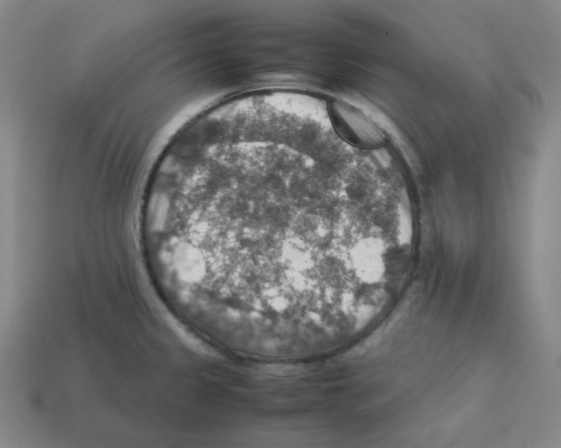 X0000112771333200910011228