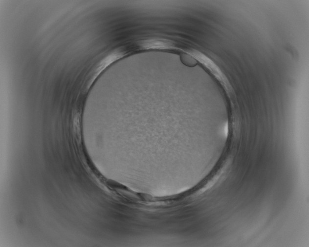 X0000112771337200910011228