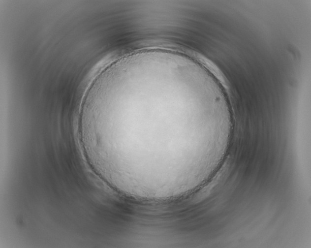 X0000112771338200910011228