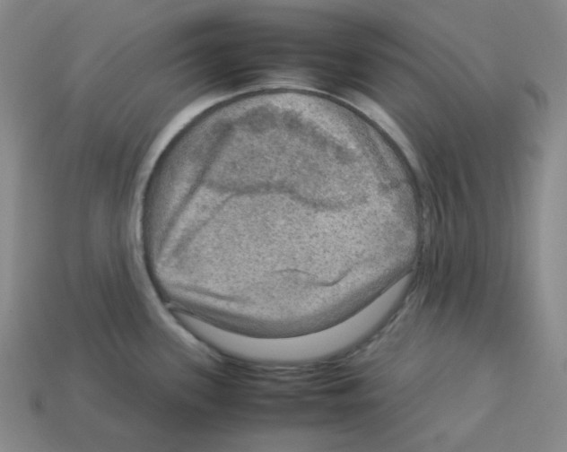 X0000112771339200910011228