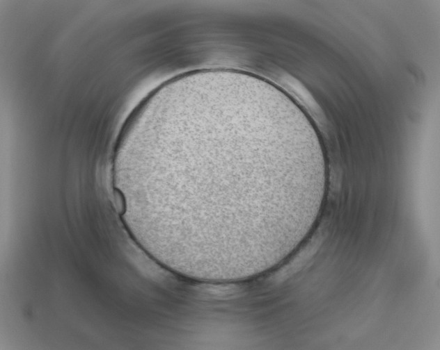 X0000112771340200910011228